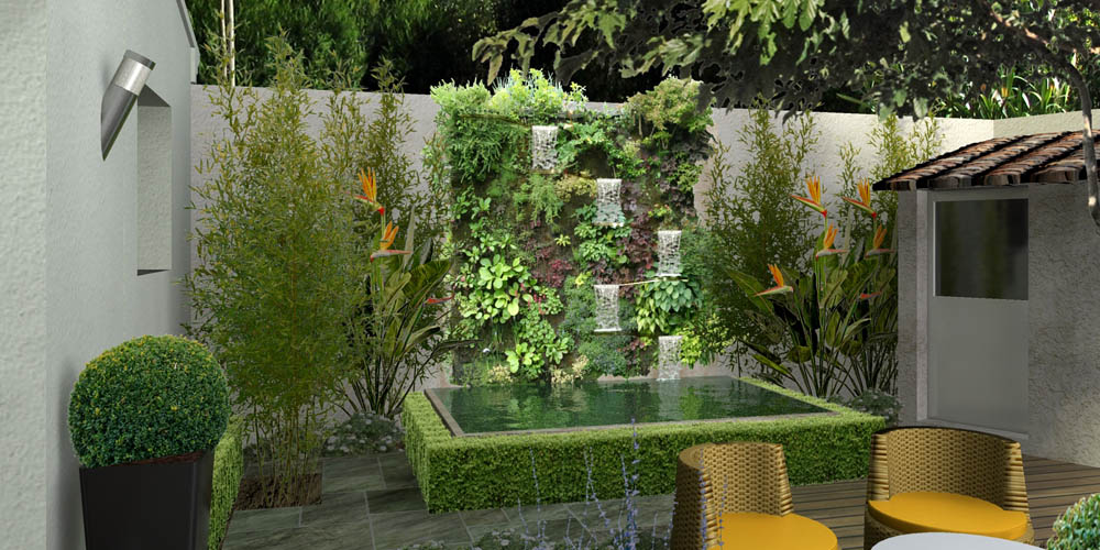 Bassin de jardin avec mur végétal