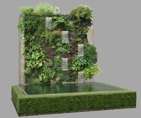 Bassin de jardin avec mur végétal en 3d